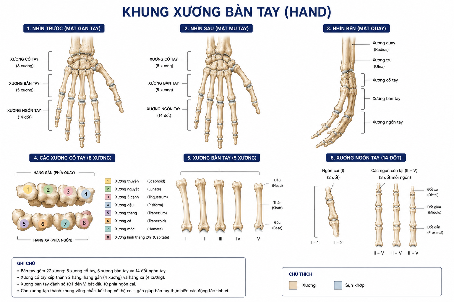 Bàn tay
